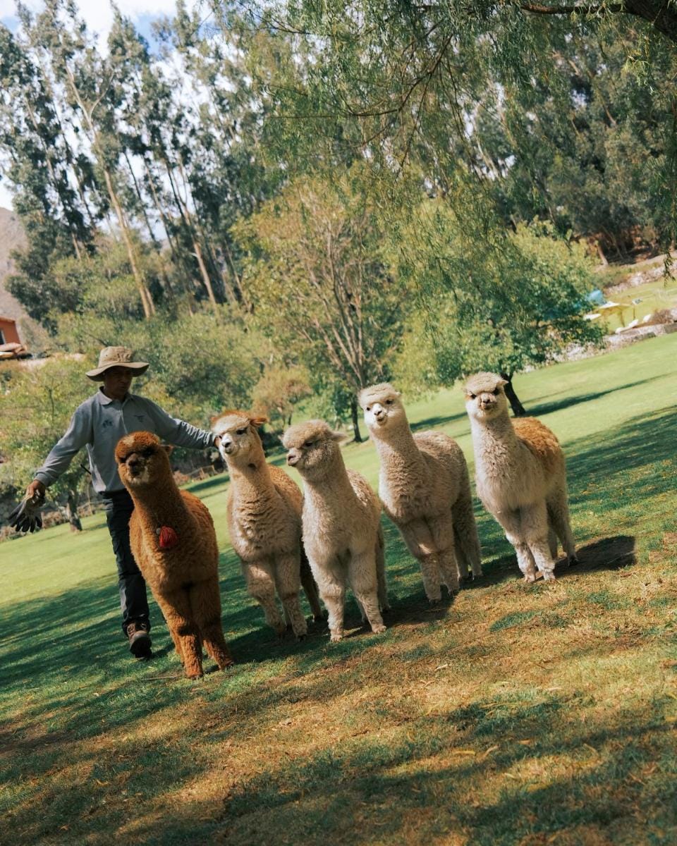 Rio Sagrado, A Belmond Hotel, Sacred Valley Hotel in Department of Cusco