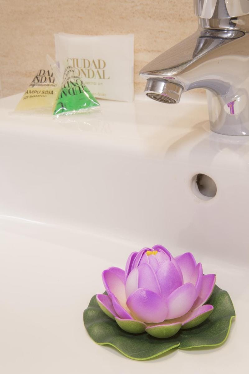 Ciudad Condal Hostal - Paseo de Gracia Bed and Breakfast in Barcelona
