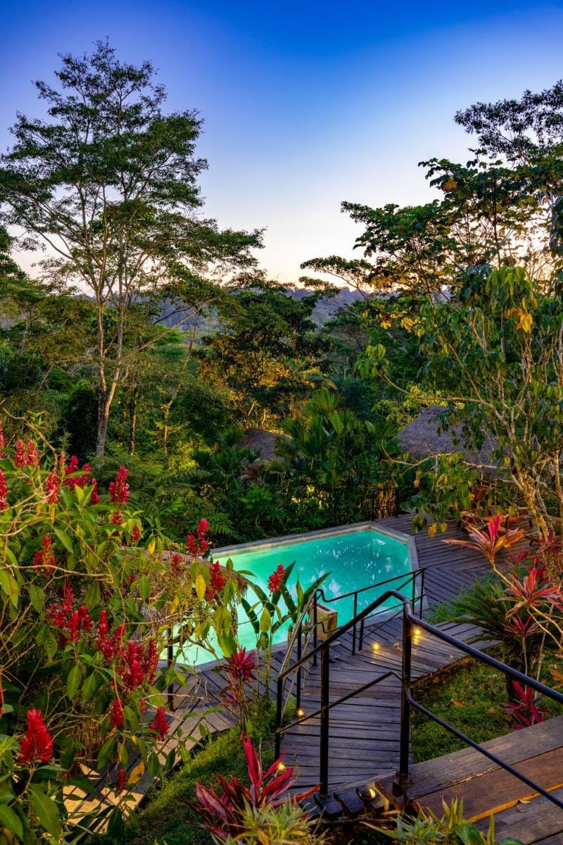 Hamadryade Lodge Lodge in Napo, Ecuador