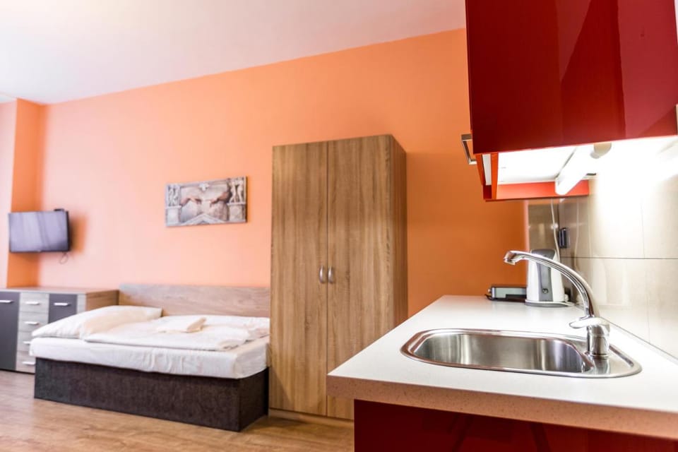 Rezidence Davids Apartments Apartment in Prague