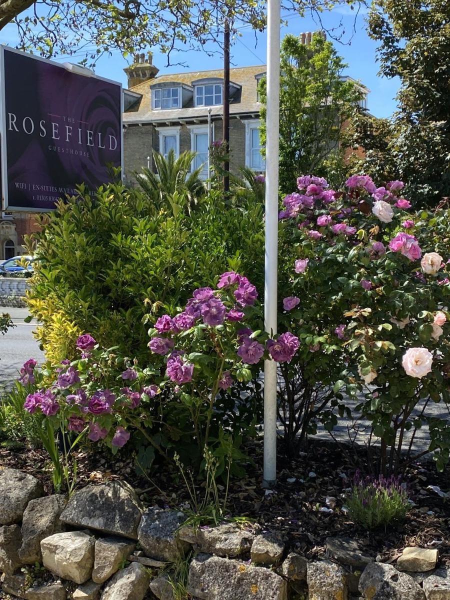 The Rosefield Bed and Breakfast in Weymouth