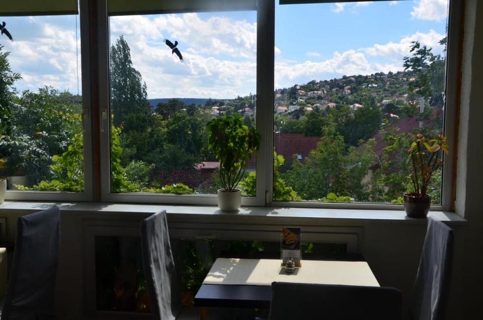 Hotel Viktória Bed and Breakfast in Hungary