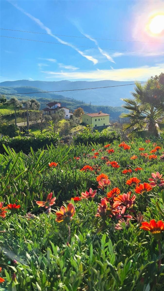 Quinta da Palmeira - Country House Retreat & Spa Country House in Coimbra District, Portugal