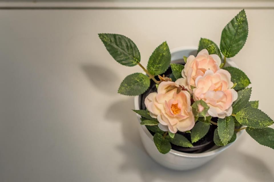Il Terrazzino Su Boboli Bed and Breakfast in Florence