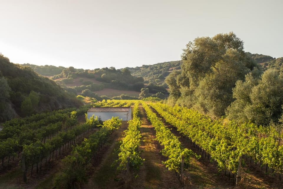 Hotel Rural Sant Patrici Hotel in Balearic Islands