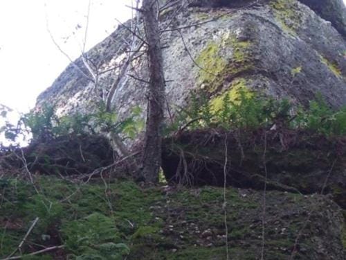 Pension l’instant Bed and Breakfast in Grand Est