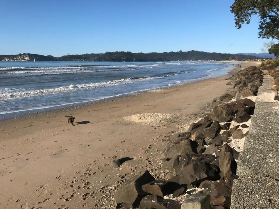 Whitianga Campground Campground/ 
RV Resort in Whitianga