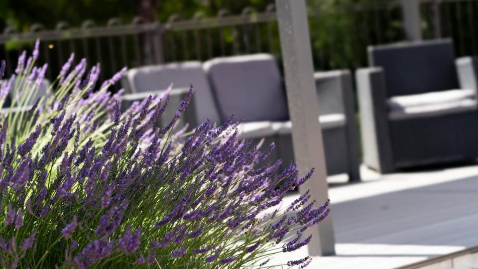 Hotel Les Oliviers Hotel in Provence-Alpes-Côte d'Azur