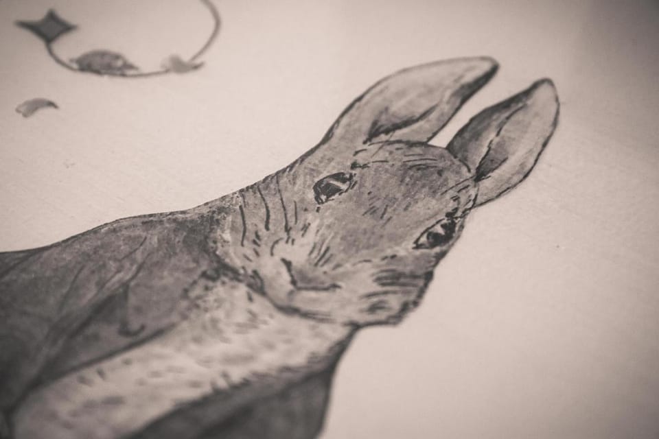 Puddle Duck Lodge – Adults Only Bed and Breakfast in Bowness-on-Windermere