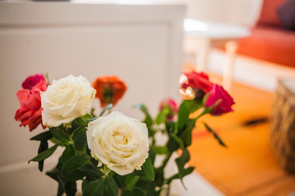Résidence Louzani Apartment hotel in Essaouira