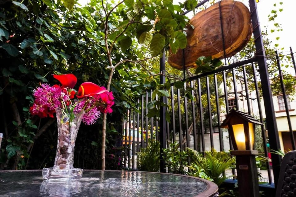 Casa del Arupo Hostel in Quito