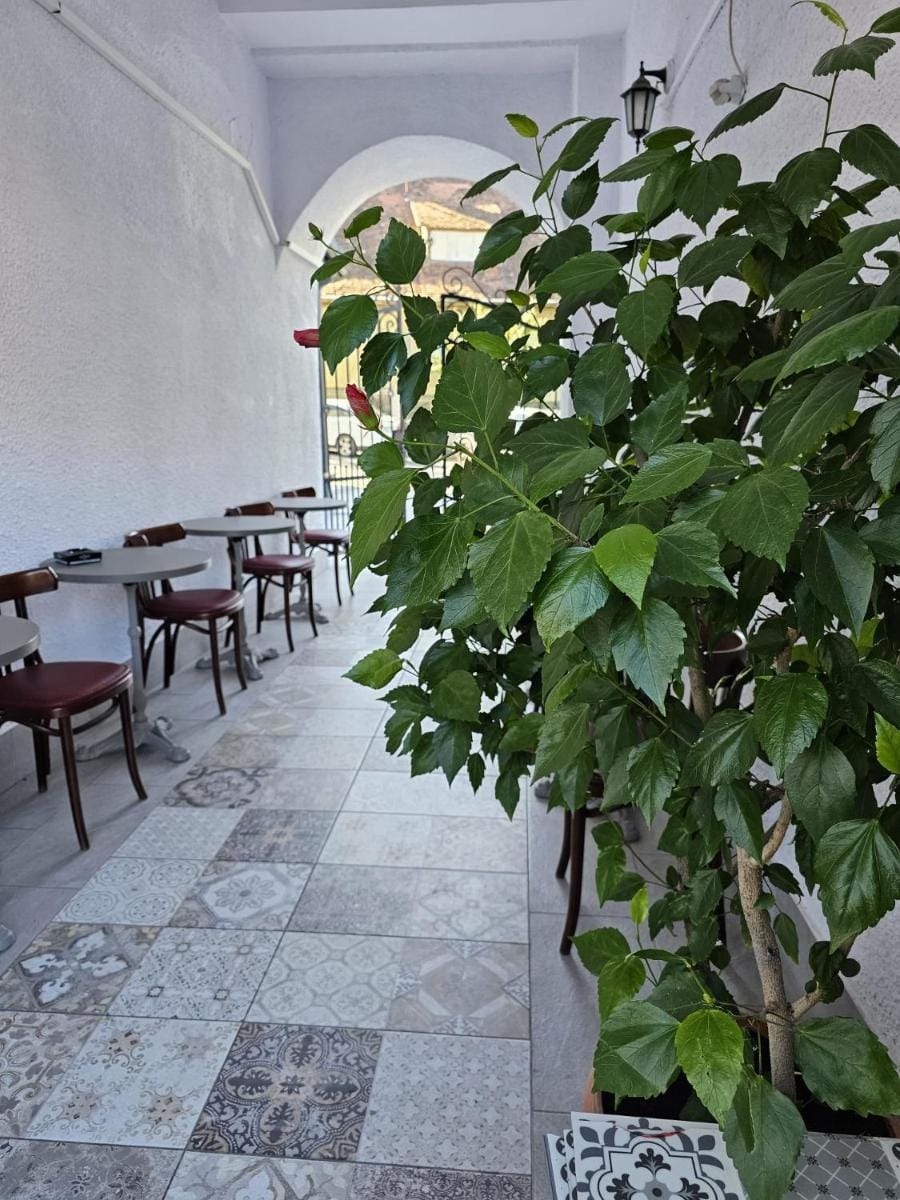 Hotel Apollonia Hotel in Brasov