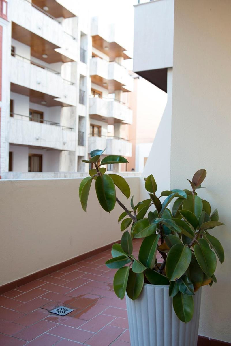 Apartamentos Ripoll Ibiza Apartment in Ibiza