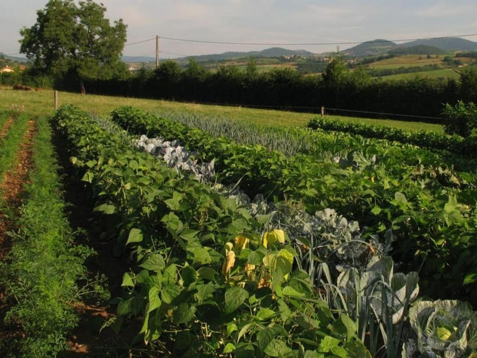 La Ferme Du Chapi Bed and Breakfast in Auvergne-Rhône-Alpes
