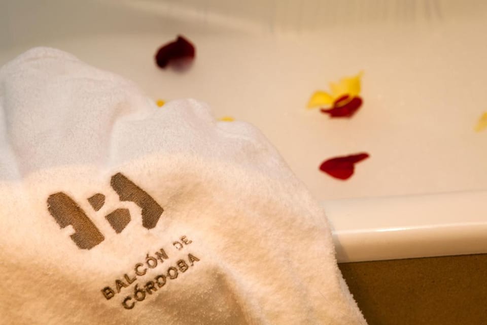 Balcón de Córdoba Hotel in Cordoba