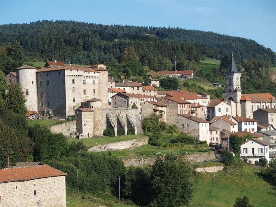 Château des Marcilly Talaru Vacation rental in Auvergne-Rhône-Alpes
