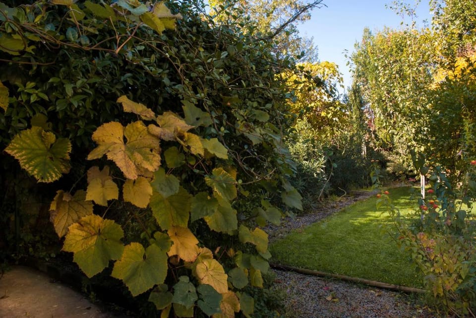 Al Porto Di Lucca B&B Bed and Breakfast in Capannori