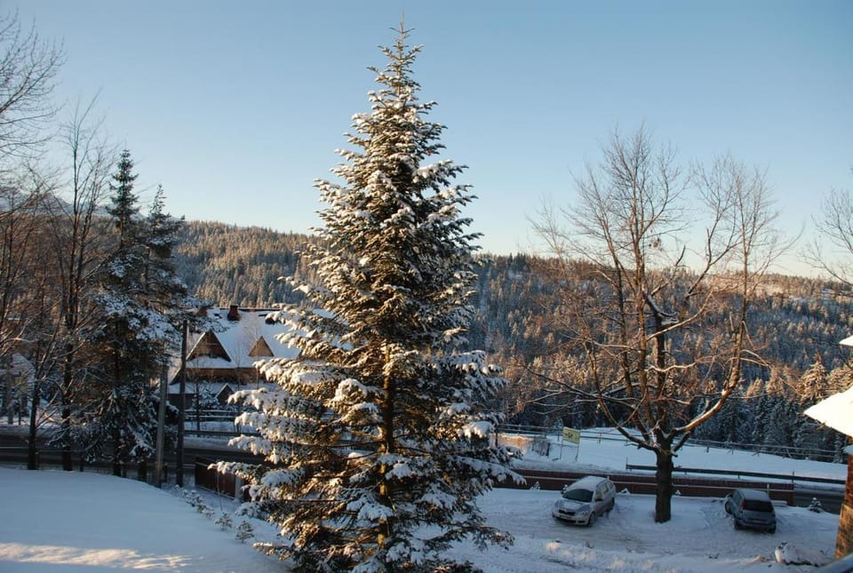 Villa Park Bed and Breakfast in Lesser Poland Voivodeship