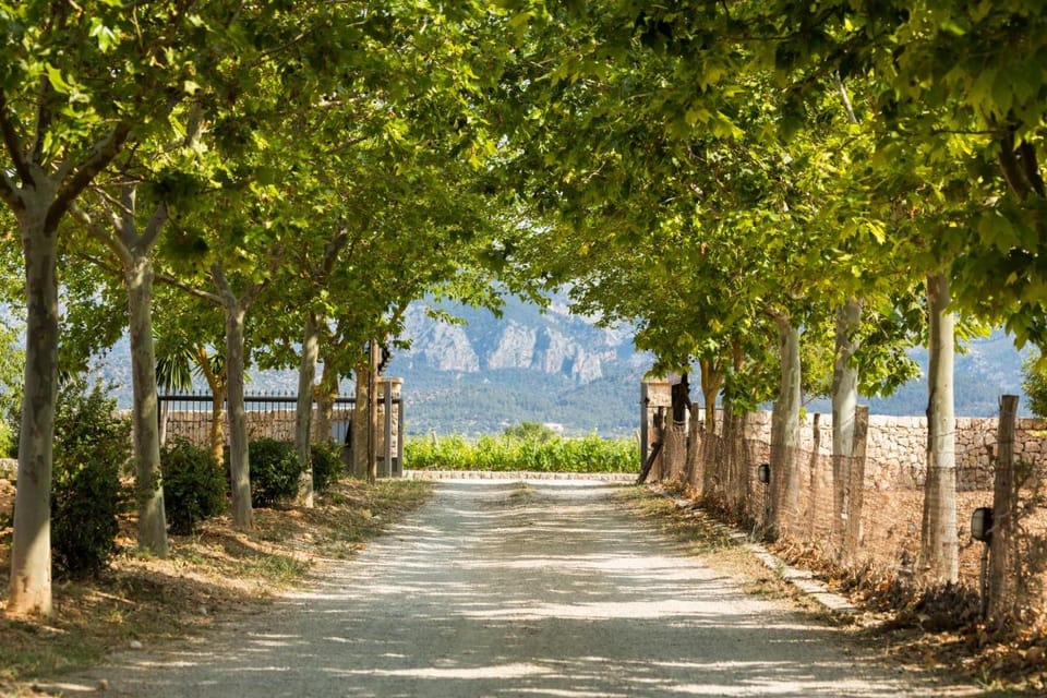Agroturisme Sa Torre Hotel in Pla de Mallorca