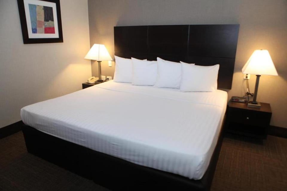 Everest Ciudad Victoria Hotel in State of Nuevo Leon