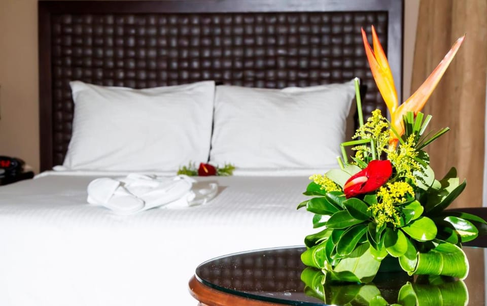 Hotel & Suites Rincon Del Valle Hotel in San Jose