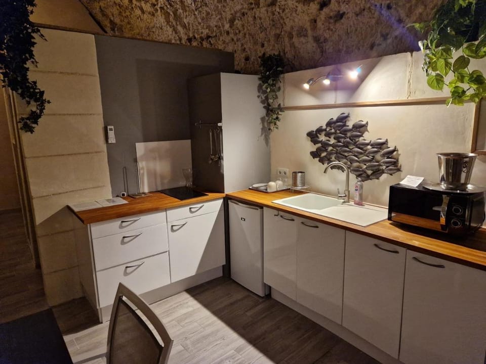 Chambres d'Hôtes Troglodytes Le Clos de L'Hermitage Bed and Breakfast in Amboise