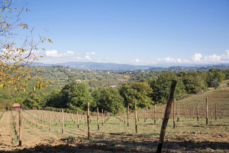 Fattoria Il Milione Agriturismo Farm Stay in Florence