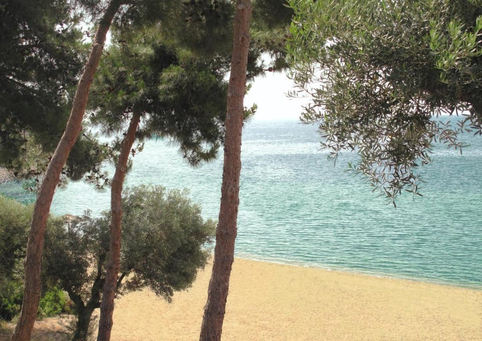 Trikorfo Beach Apartment hotel in Halkidiki