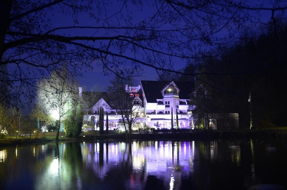 Hôtel Les Rives Hotel in Vosges