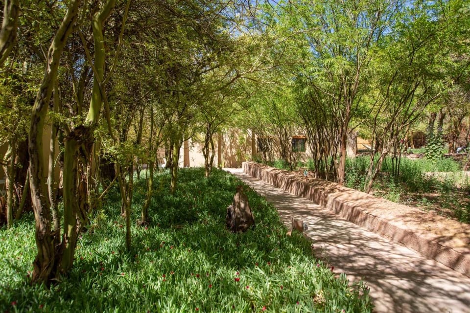 Casa Solcor Boutique Bed & Breakfast Hotel in San Pedro de Atacama