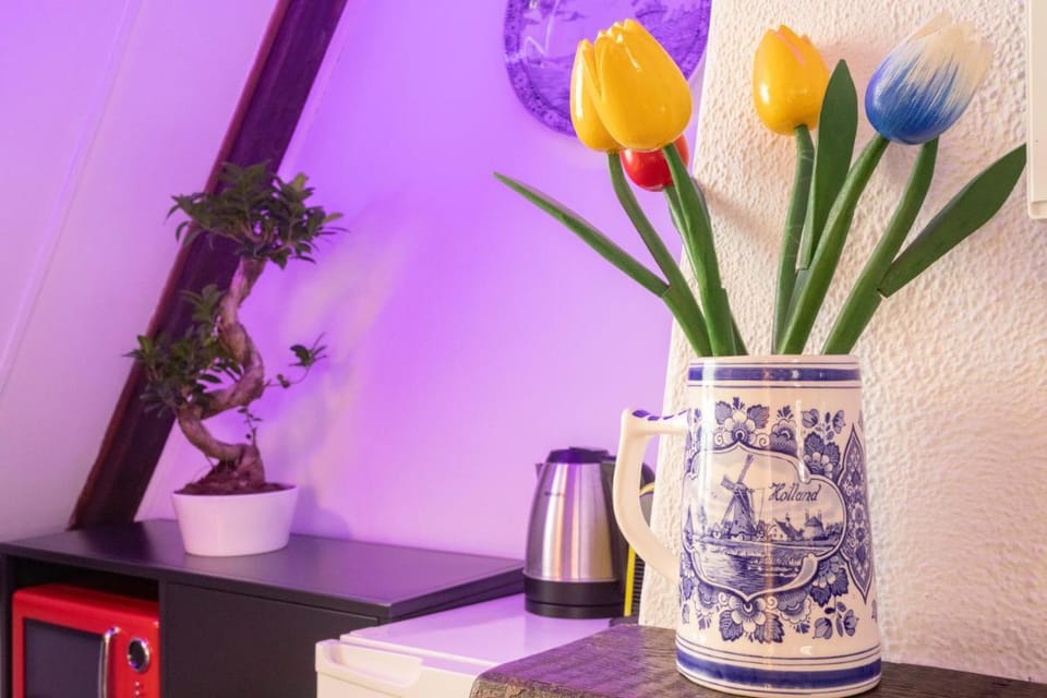 Tulip of Amsterdam Bed and Breakfast in Amsterdam