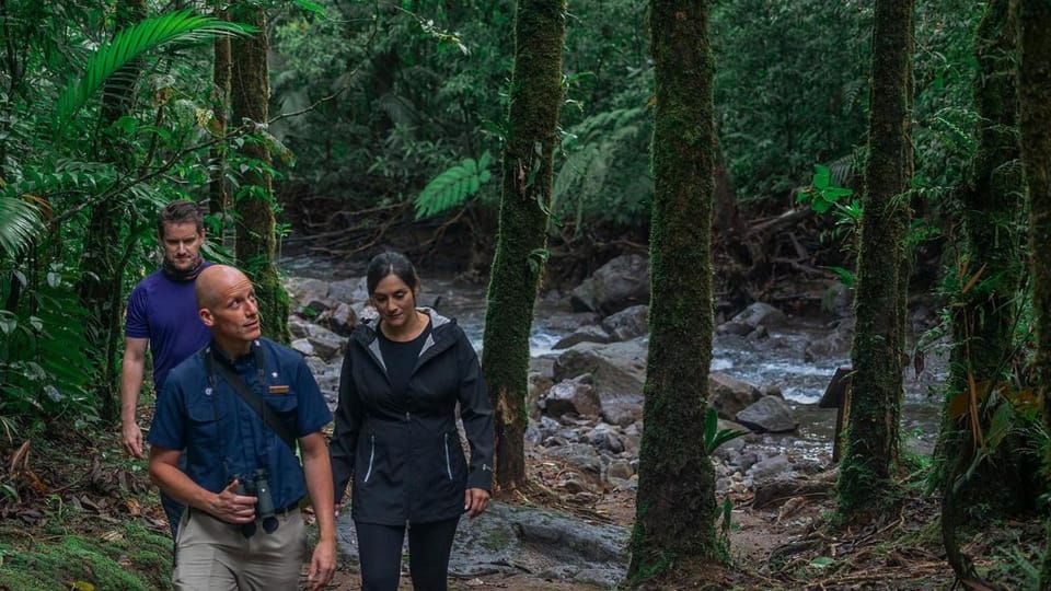 El Silencio Lodge & Spa Lodge in Alajuela Province