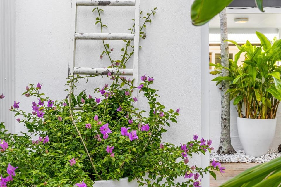 Azur Byron Bay Bed and Breakfast in Byron Bay