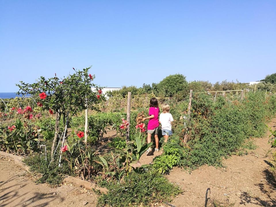 Agriturismo Hibiscus Farm Stay in Sicily