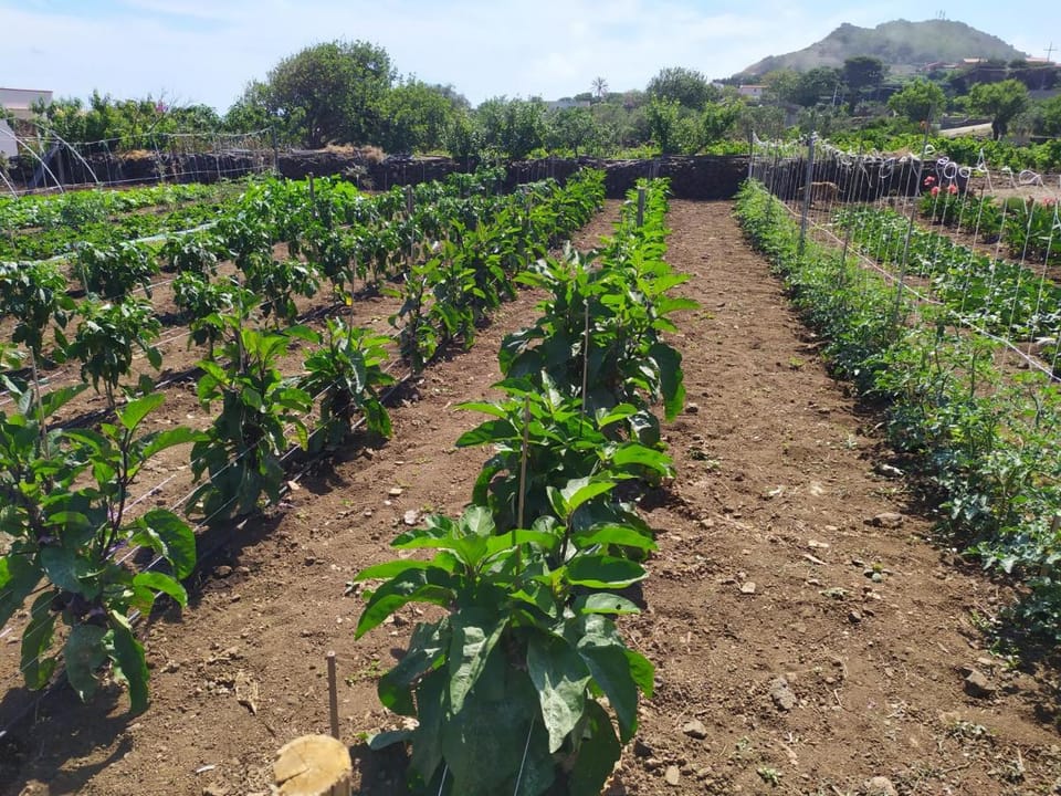 Agriturismo Hibiscus Farm Stay in Sicily