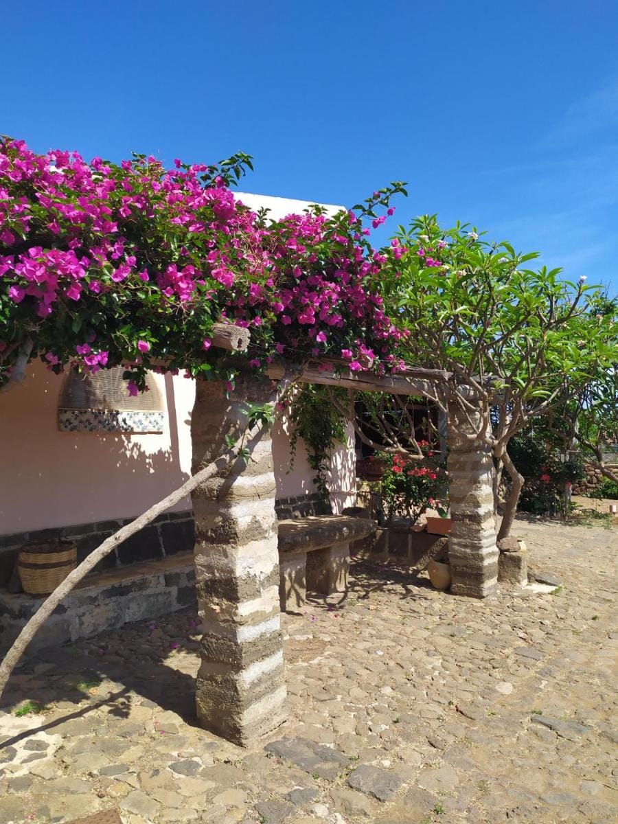 Agriturismo Hibiscus Farm Stay in Sicily