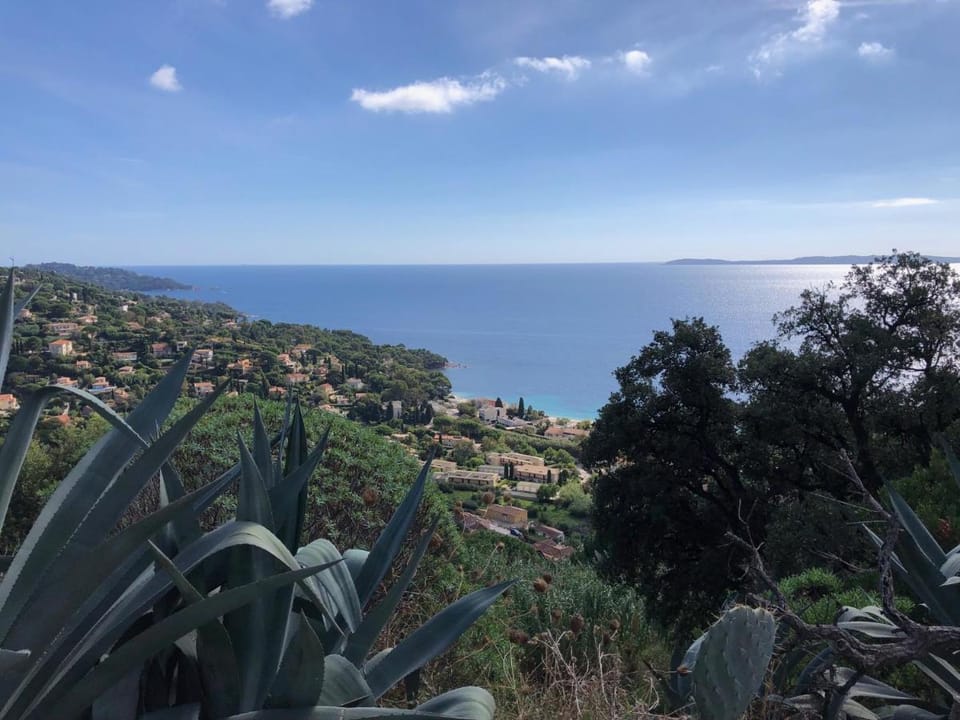 Anglade Hotel Hotel in Le Lavandou