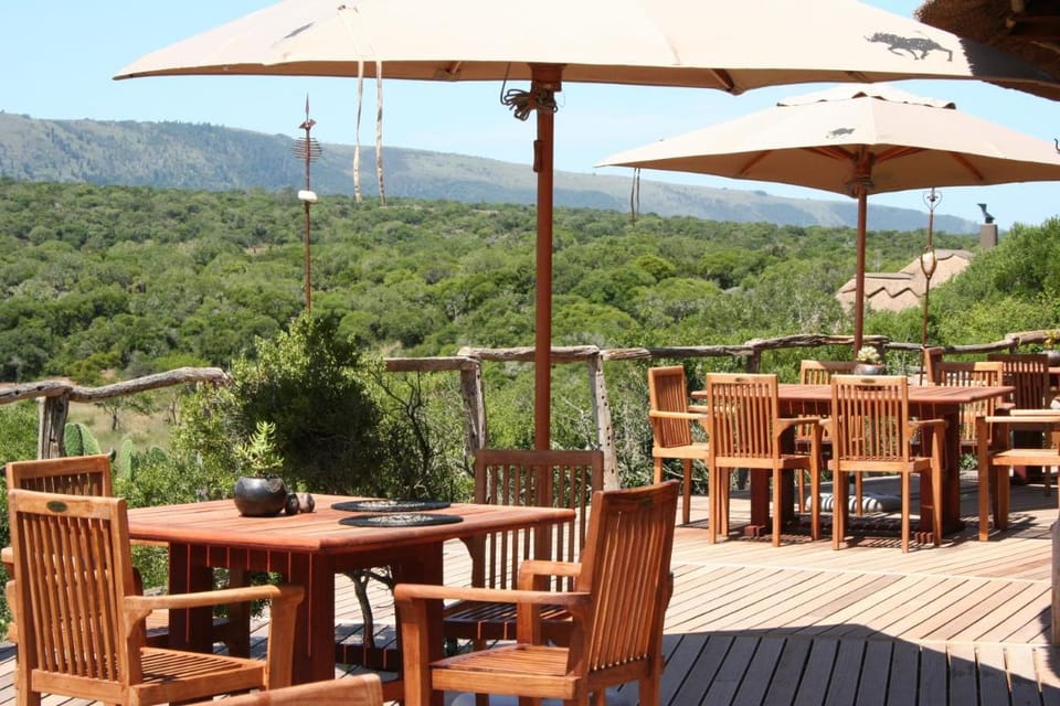 Pumba Private Game Reserve Lodge in Eastern Cape