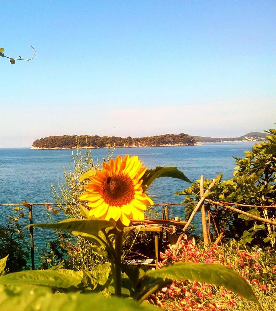 Sea of Eden Apartment in Dubrovnik-Neretva County