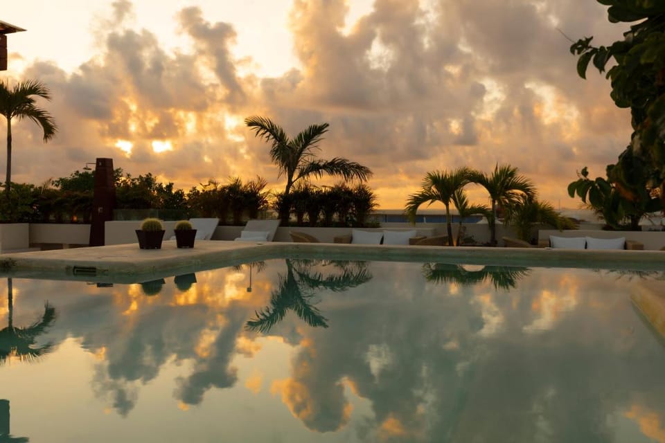 The Palm at Playa Hotel in Playa del Carmen