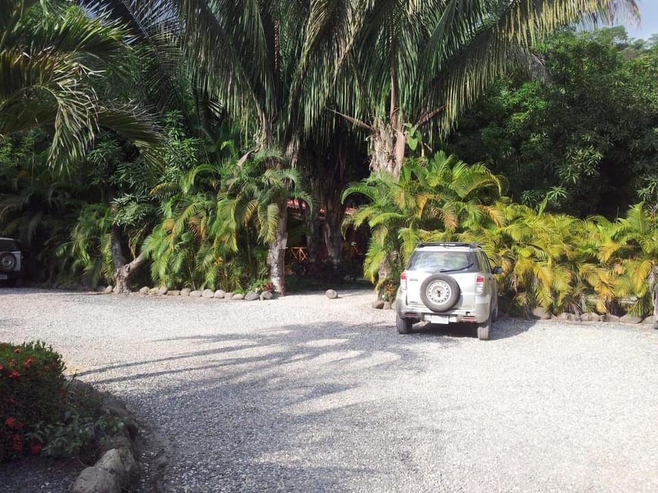 Esencia Hotel and Villas Hotel in Santa Teresa Beach