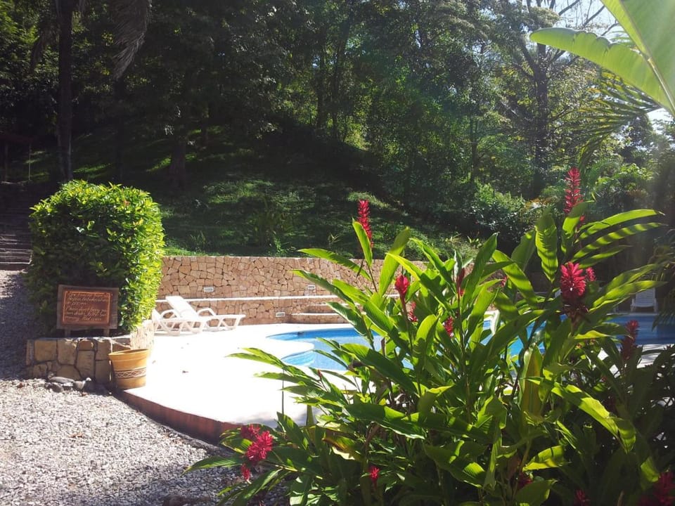 Esencia Hotel and Villas Hotel in Santa Teresa Beach