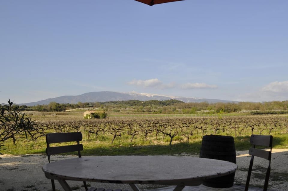 Le Mas de Plein Pagnier Bed and Breakfast in Mazan