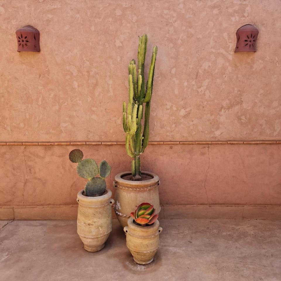 Hôtel Dar 55 - Berber House - Boutique Hôtel Bed and Breakfast in Marrakesh