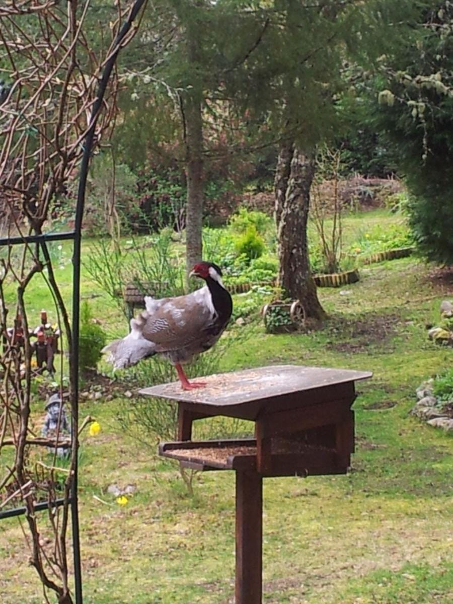 Kettle House B&B Bed and Breakfast in Fort Augustus