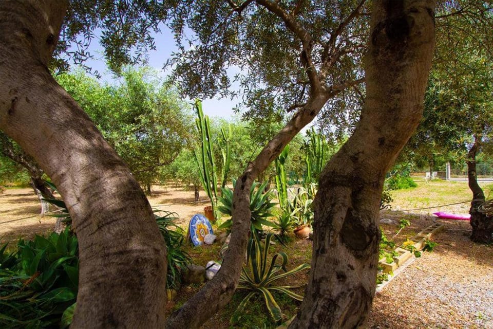 Medimare Residence Club Apartment hotel in Sicily