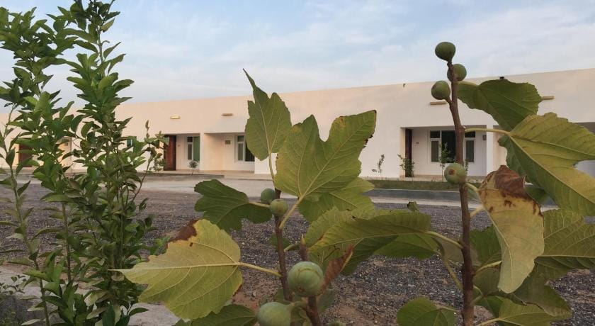 Oriental Nights Rest House Luxury tent in Oman