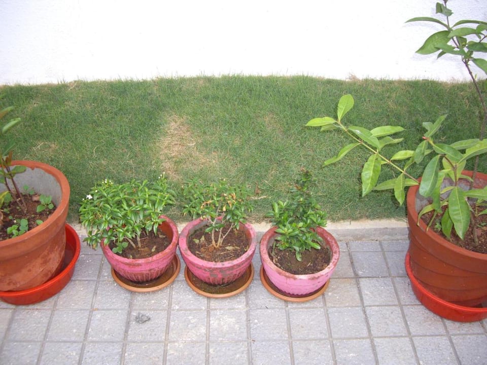 Elim Homestay Fort Kochi Vacation rental in Kochi