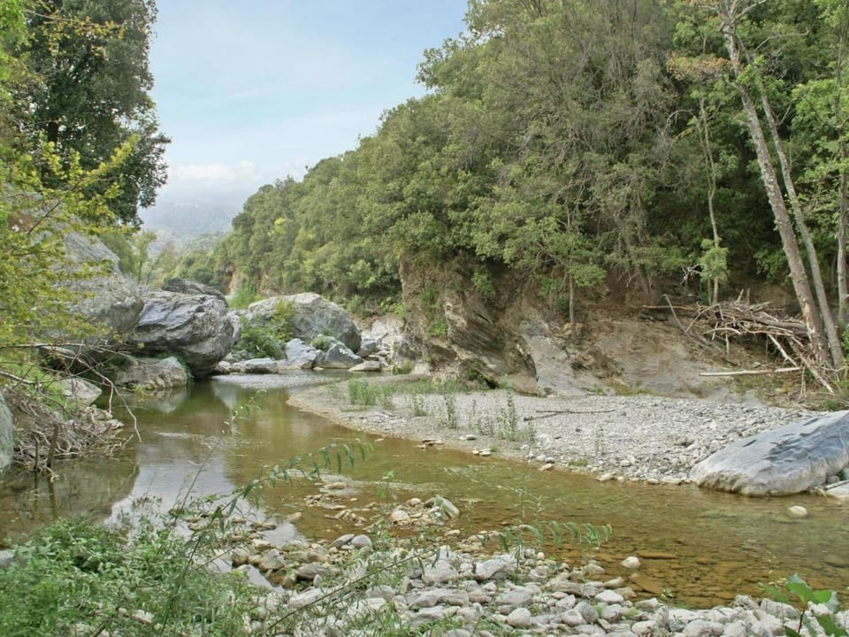 Riverside Home in Folelli Vacation rental in Corsica