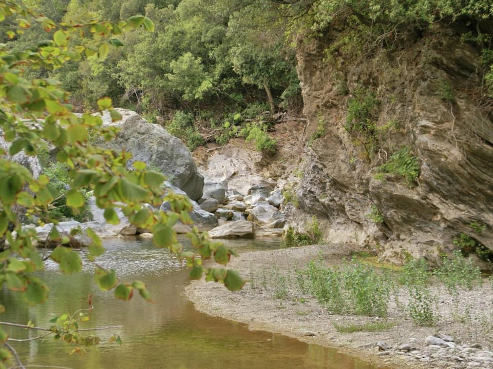 Riverside Home in Folelli Vacation rental in Corsica